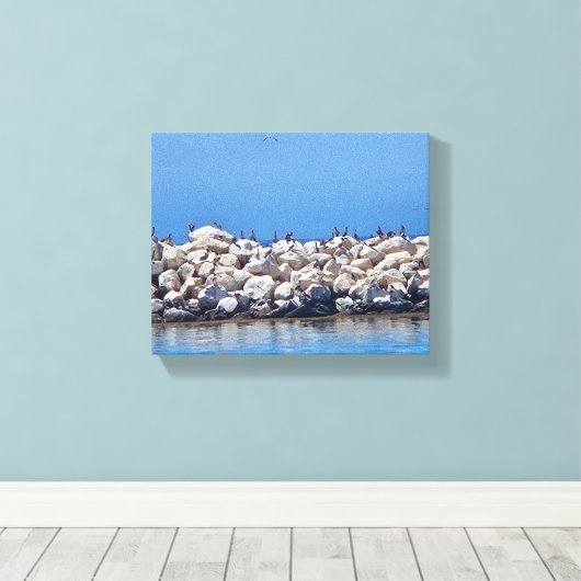 Pelikanen op de rotsen op de prachtige Stille Ocea Canvas Afdruk (Insitu (Houten vloer))