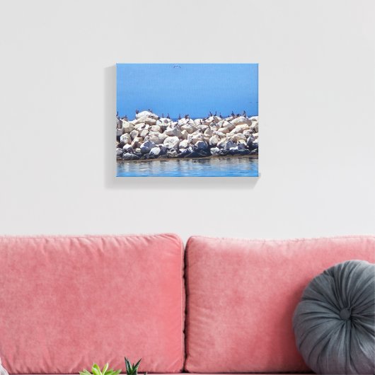 Pelikanen op de rotsen op de prachtige Stille Ocea Canvas Afdruk (Insitu (Woonkamer))
