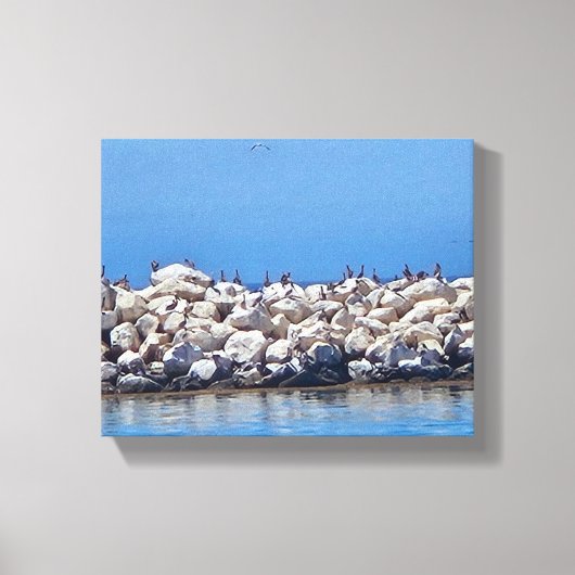 Pelikanen op de rotsen op de prachtige Stille Ocea Canvas Afdruk (Voorkant)
