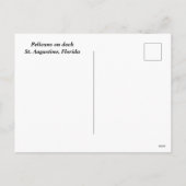 Pelikanen op dok feestdagenkaart (Achterkant)