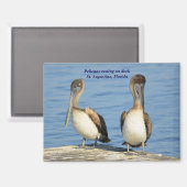 Pelikanen op dok magneet (Voorkant / Achterkant)