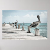 Pelikanen op een pier poster (Voorkant)