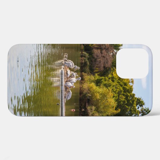 Pelikanen op het meer in de Phoenix Zoo Case-Mate iPhone Case (Achterkant (horizontaal))