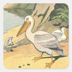 Pelikanen op het strand geïllustreerd vierkante sticker