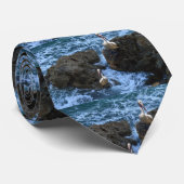 Pelikanen op Zee Rocks, Stropdas (Opgerold)