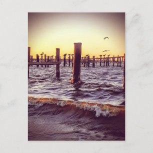 Pelikanen over de baai bij zonsondergang briefkaart