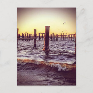 Pelikanen over de baai bij zonsondergang briefkaart