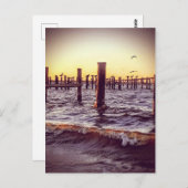 Pelikanen over de baai bij zonsondergang briefkaart (Voorkant / Achterkant)