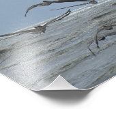 Pelikanen over oceaanfoto foto afdruk (Hoek)