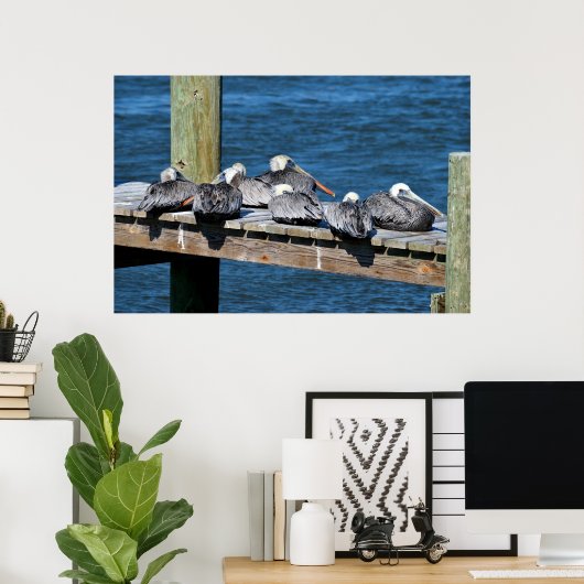 Pelikanen rusten op een dok poster (Thuiskantoor)