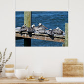 Pelikanen rusten op een dok poster (Keuken)