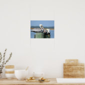 Pelikanen rusten op een pilling poster (Keuken)