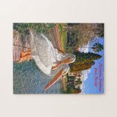 Pelikanen van Florida. Legpuzzel (Horizontaal)