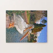 Pelikanen van Florida. Legpuzzel (Horizontaal)