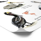 pelikanen van het wereldposter poster (Hoek)