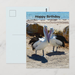 Pelikanen Verliefd, Verjaardagskaart Briefkaart