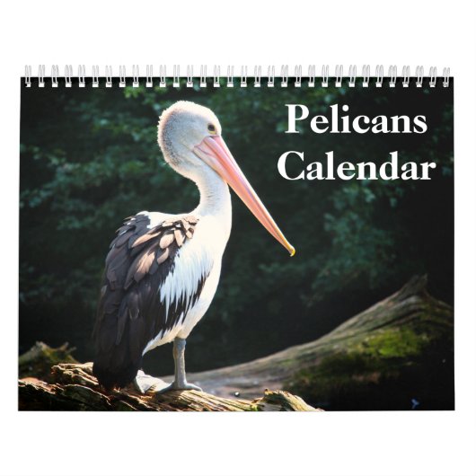 Pelikanen Vogel 2025 Kalender (Hoes)