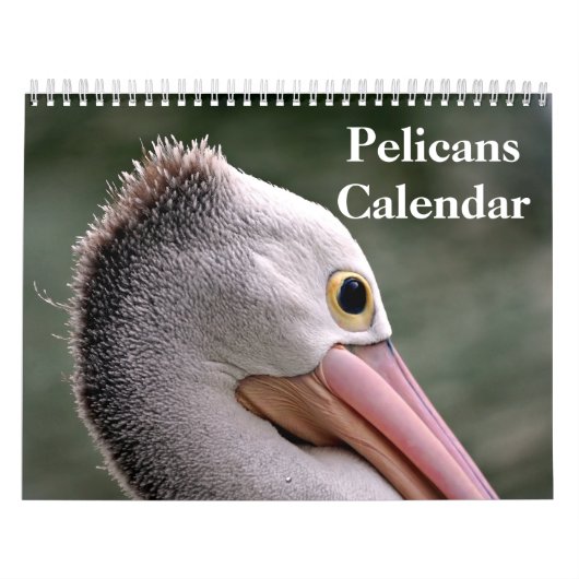 Pelikanen Vogel 2025 Kalender (Hoes)