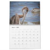 Pelikanen Vogel 2025 Kalender (Mar 2027)
