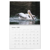 Pelikanen Vogel 2025 Kalender (Jan 2027)