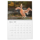 Pelikanen Vogel 2025 Kalender (Feb 2027)