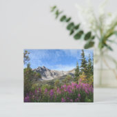 Pelly Mountain Vista Briefkaart (Staand voorkant)
