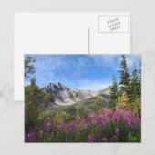Pelly Mountain Vista Briefkaart (Voorkant / Achterkant)