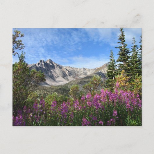 Pelly Mountain Vista Briefkaart (Voorkant)