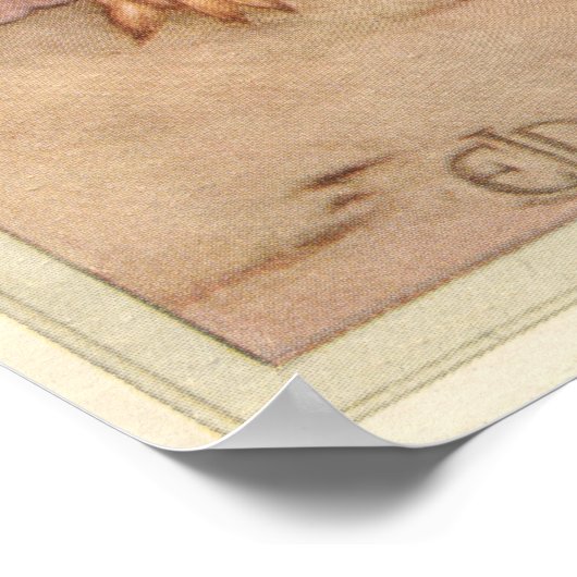 PELOPAEUS SPIRIFEX - Insect Book Illustration Poster (Hoek)