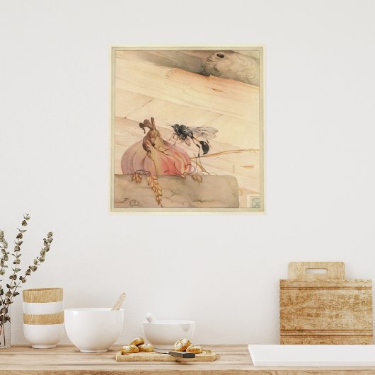 PELOPAEUS SPIRIFEX - Insect Book Illustration Poster (Keuken)