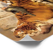 Pelt Merchant of Cairo Canvas Print (Hoek)