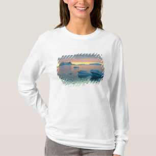 Peltierkanaal in het laatste licht van de dag t-shirt
