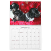 Peluito Havanese . 2011 Kalender (Feb 2027)