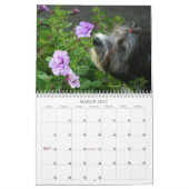 Peluito Havanese . 2011 Kalender (Mar 2027)