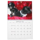 Peluito Havanese . 2011 Kalender (Feb 2026)