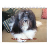Peluito Havanese . 2011 Kalender (Hoes)