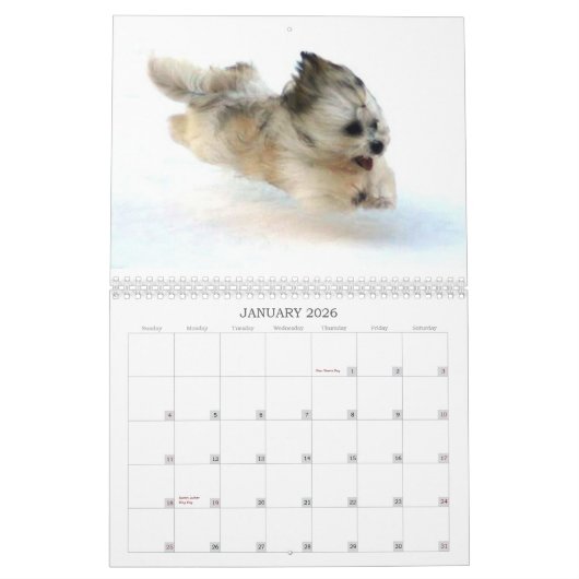 Peluito Havanese . 2011 Kalender (Jan 2026)