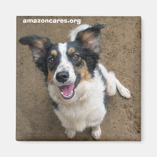 Pelusa Magneet (Voorkant)