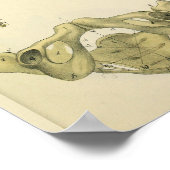 Pelvis Pelvic Botten  anatomie kunst Afdrukken Poster (Hoek)