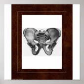 Pelvis Spirit House Poster (Voorkant)