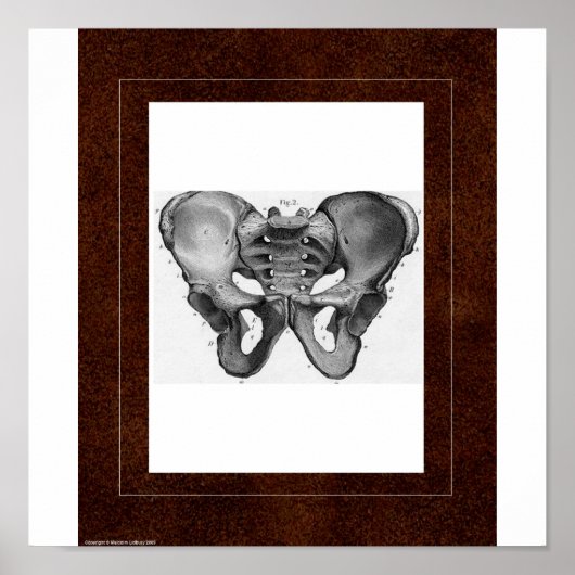 Pelvis Spirit House Poster (Voorkant)