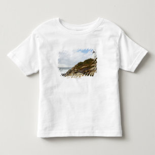 Pemaquid Point-vuurtoren op een Rocky Hillside Kinder Shirts