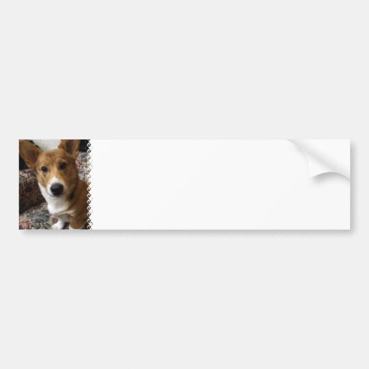 Pembroke Corgi Bumpersticker (Voorkant)