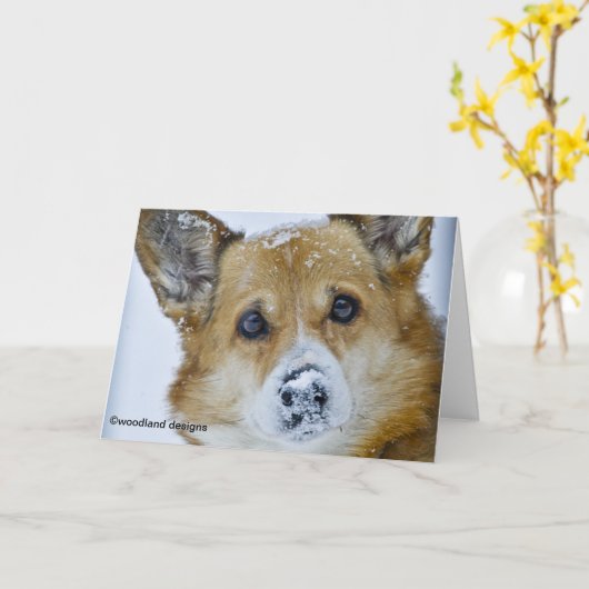 PEMBROKE DE WELSE NEUS VAN DE SNEEUW CORGI KAART (Gele Bloem)