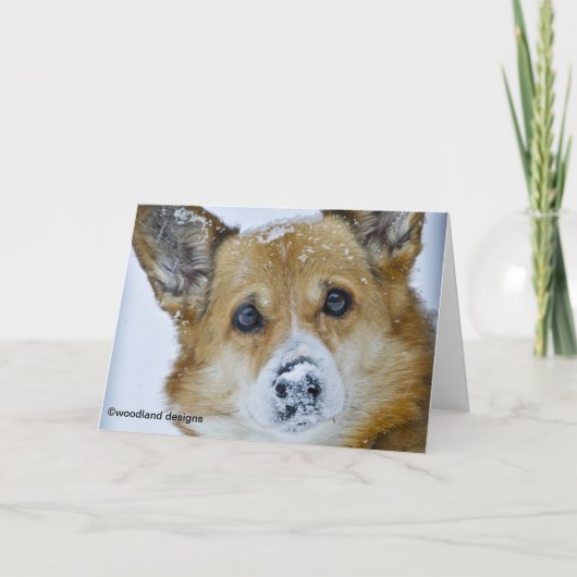 PEMBROKE DE WELSE NEUS VAN DE SNEEUW CORGI KAART (Voorkant)