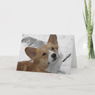 Pembroke Welse Corgi in de Kaart van de Sneeuw