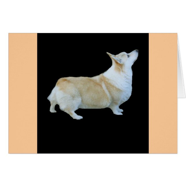 Pembroke Welsh Corgi (Voorkant Horizontaal)