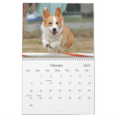 Pembroke Welsh Corgi Agility Calendar Kalender (Feb 2027)