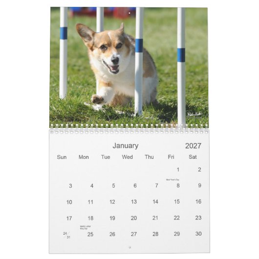 Pembroke Welsh Corgi Agility Calendar Kalender (Jan 2027)