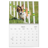 Pembroke Welsh Corgi Agility Calendar Kalender (Mar 2027)